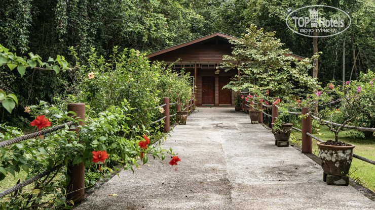 New photos from tourists Borneo Nature Lodge 2*