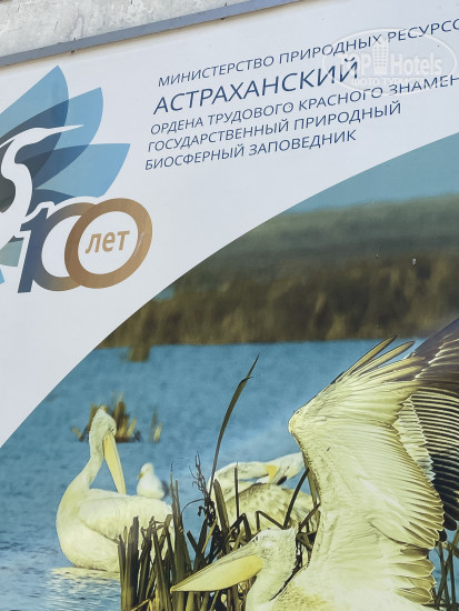 New photos from tourists Щука