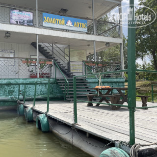 Фото Золотой Лотос