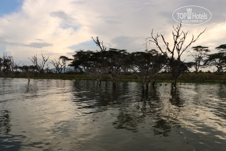 Hotel photo Lake Naivasha Simba Lodge 