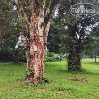 Photos Best Western Premier Garden Hotel Entebbe