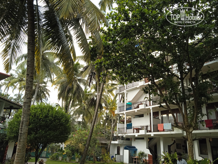 New photos from tourists Sea View Beach Resort