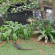 Photos Villa Kaya Guest House