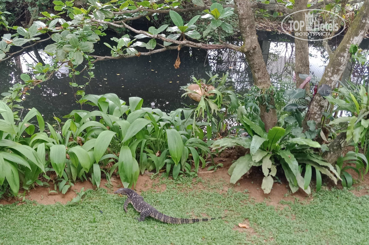 New photos from tourists Villa Kaya Guest House