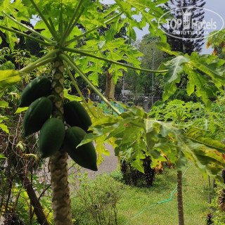 Photos Yangon Thanlwin Hotel