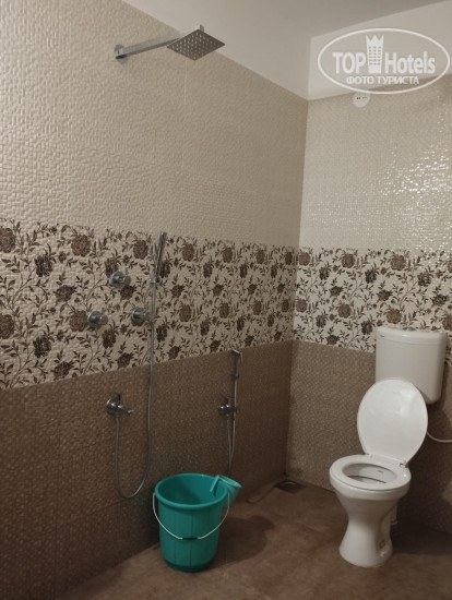 New photos from tourists Little Nest Hotel