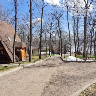 Фото Лесная Сказка