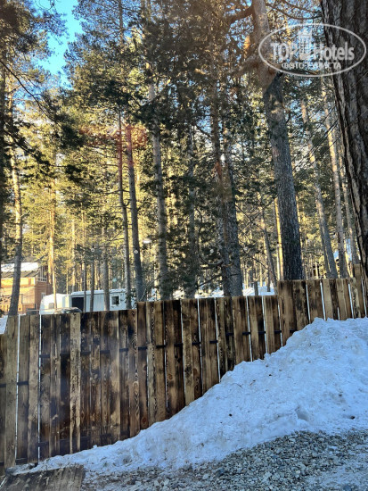 New photos from tourists Коттедж на Лесная 26