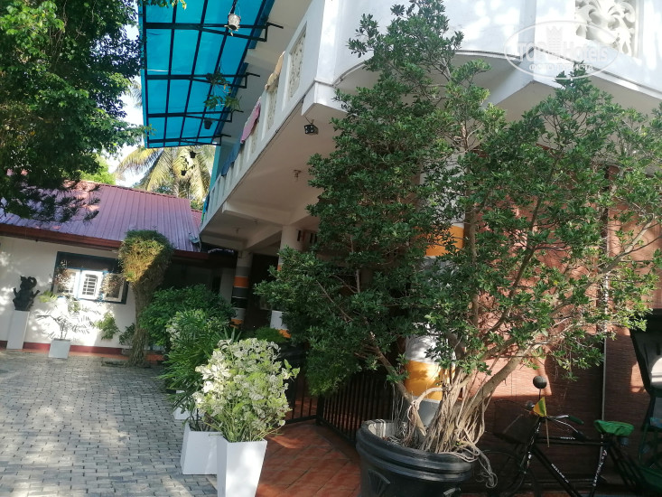 New photos from tourists Crescent Resort