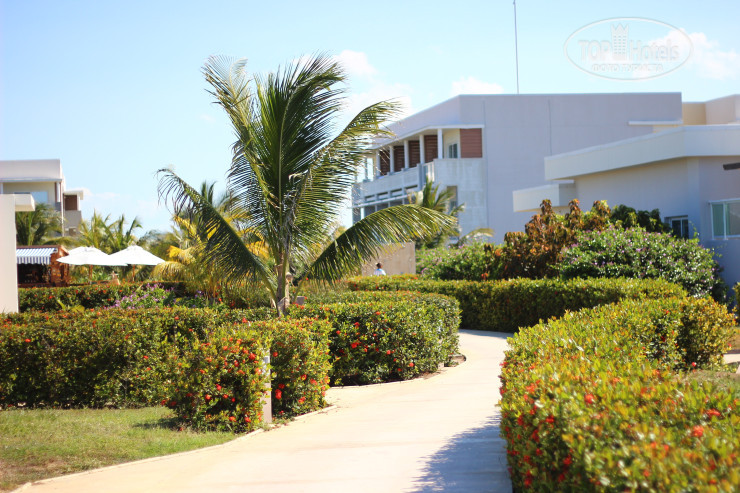 New photos from tourists Woovo Playa Hermosa Cayo Paredon Resort 5*