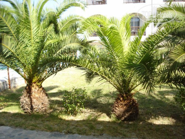Hotel photo Kalimera Mare 4*