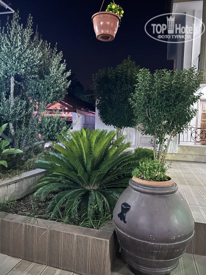 Hotel photo Kemer Star Hotel 3*