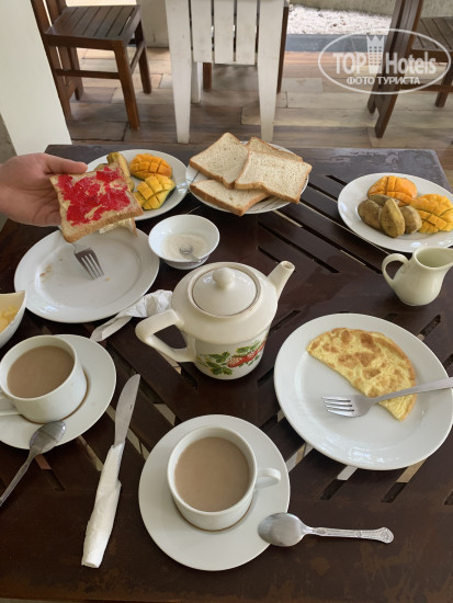Photos Primrose Guest House