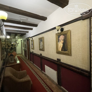 Фото Hotel Konak Tammy Platicevo - Sabac