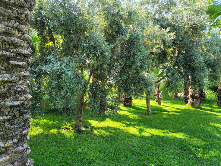 New photos from tourists Yetkin Club Hotel 4*