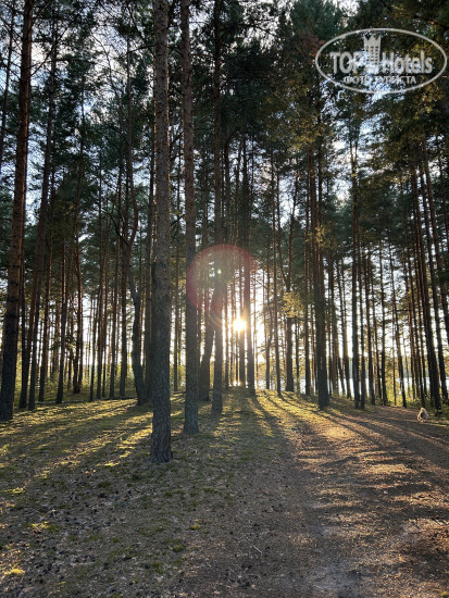 New photos from tourists Villy Uley Volga