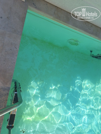 Hotel photo Volna Family Resort 