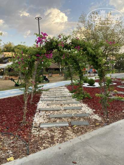 New photos from tourists Sealife Lounge