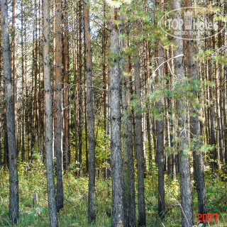 Photos Гостиница Бистро