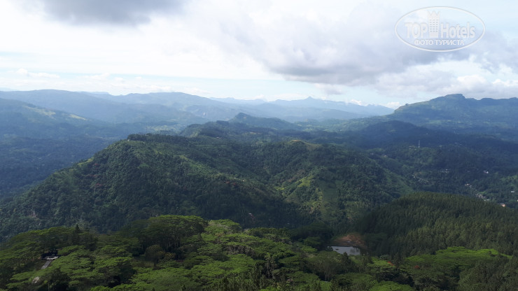 New photos from tourists Oak Ray Tea Bush - Ramboda 4*