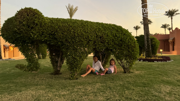 New photos from tourists Nubian Island 5*