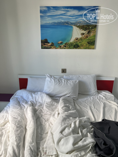 New photos from tourists Citrus Park Hotel 4*