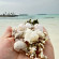Photos Ithaa Beach Maldives