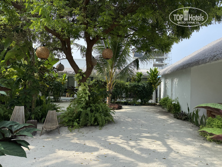 New photos from tourists Coco Villa Thoddoo