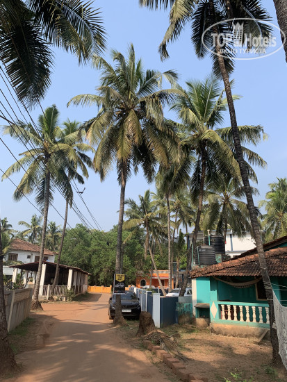 New photos from tourists Village Susegat Beach Resort 3*