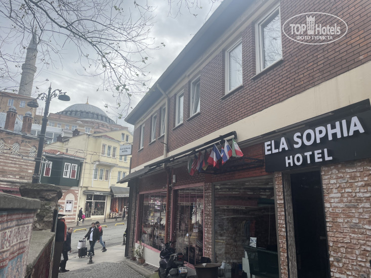 New photos from tourists Elasophia Hotel
