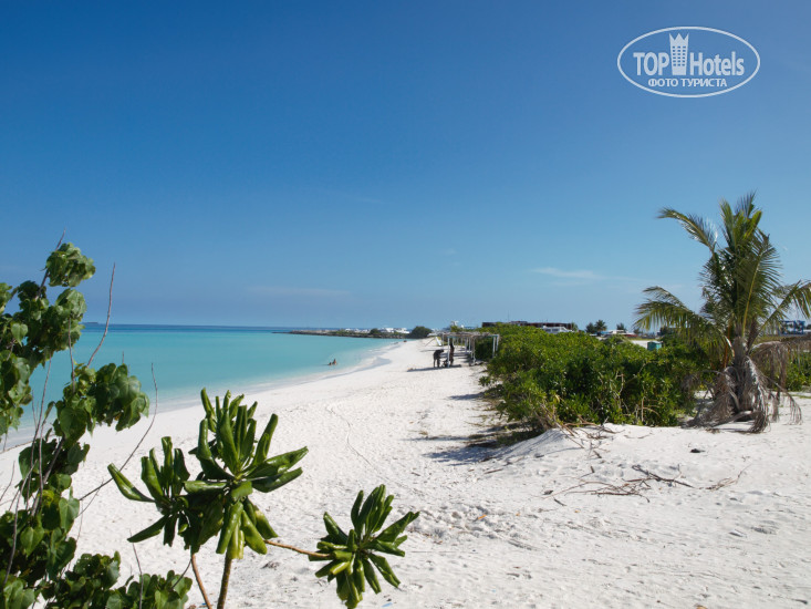 Hotel photo Silk Retreats Thulusdhoo 