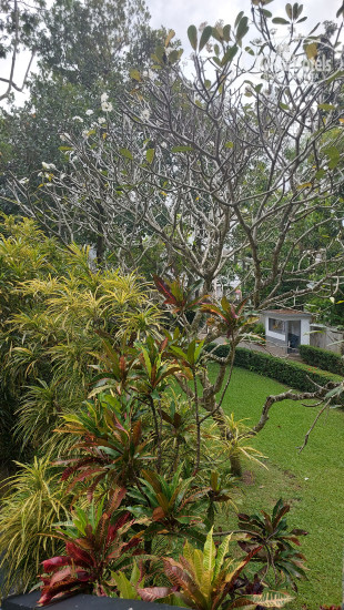 Hotel photo Rainbowswell Beach Resort 