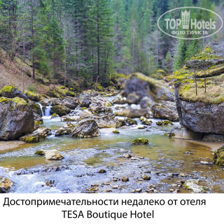 Photos TESA Boutique Hotel