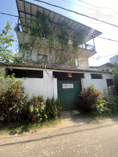 Фото Ameesha Guesthouse