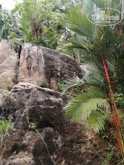 New photos from tourists Aurelle Villa 3*