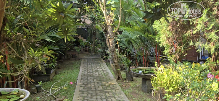 New photos from tourists Coral Palm Villa & Appartments