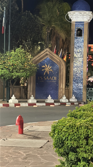 New photos from tourists Es Saadi Marrakech Resort - Palace 5*