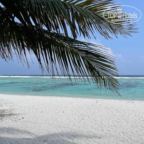 New photos from tourists Huvan Beach Hotel at Hulhumale 3*