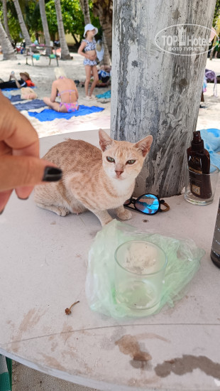 Photos Sorenzo Maldives