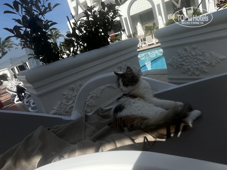 New photos from tourists Well Palace Side 5*