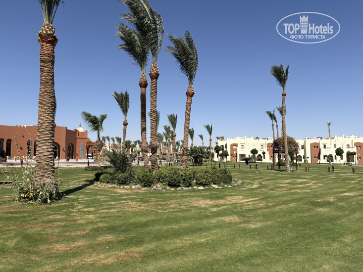 New photos from tourists SUNRISE Royal Makadi Resort-Select- 5*