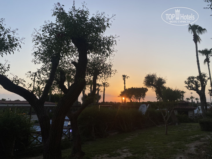 New photos from tourists Alba Resort Hotel 5*