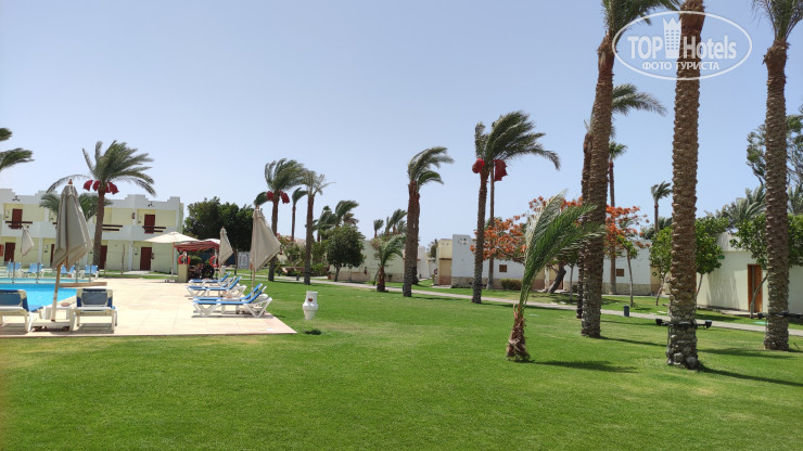 New photos from tourists Dahab Lagoon Club & Resort 4*