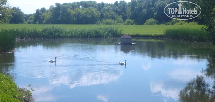 Новые добавленные фото туристов Скорняково-Архангельское 4*