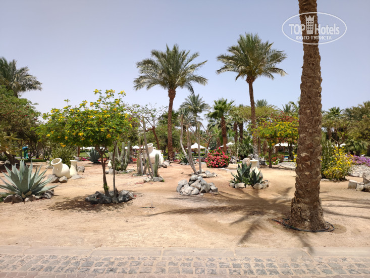 New photos from tourists Steigenberger Pure Lifestyle 5*