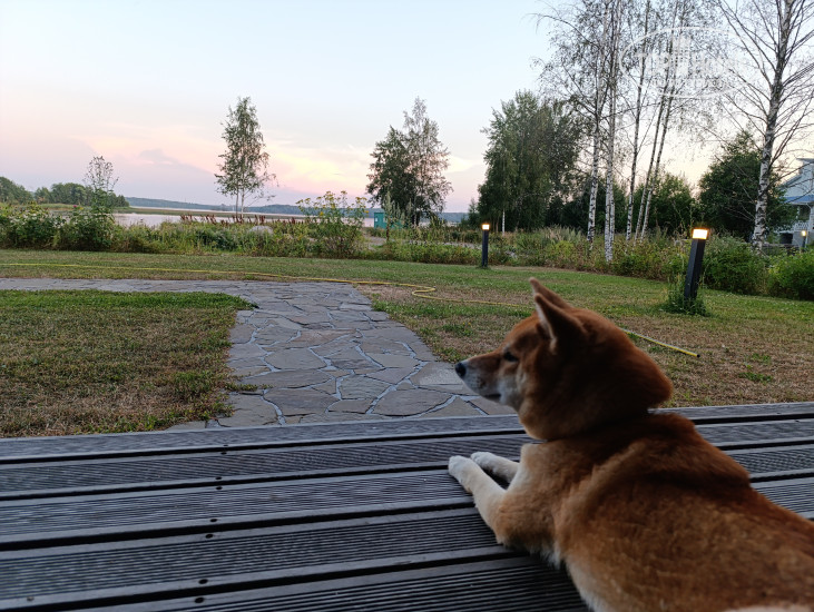 New photos from tourists Saimala Club