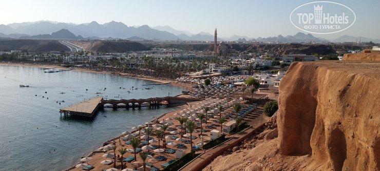 New photos from tourists Albatros Sharm Resort - Sharm El Sheikh 4*