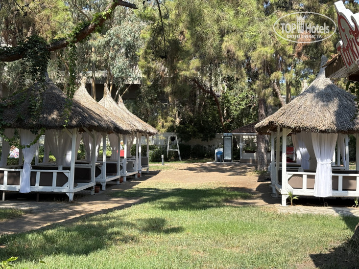 Новые добавленные фото туристов FUN&SUN FAMILY Club Saphire 5*