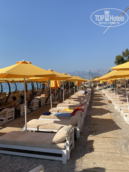 New photos from tourists Citrus Park Hotel 4*