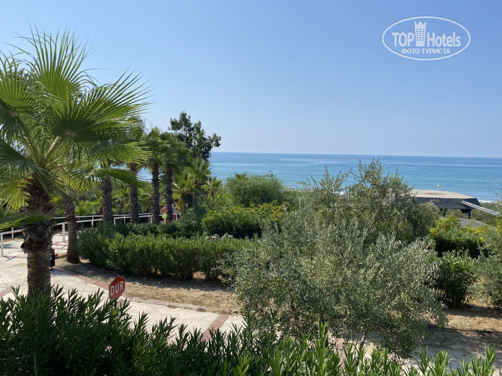 New photos from tourists Alba Resort Hotel 5*